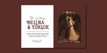 Alendro Font Poster 3