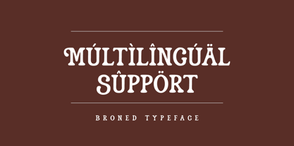 Alendro Font Poster 9