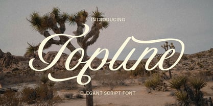 Topline Font Poster 1