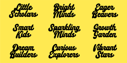 Maino Script Font Poster 8