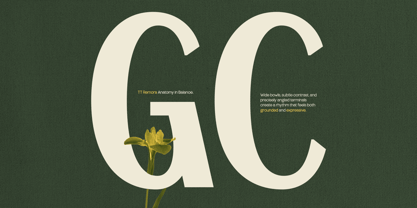 TRT Merauke Font Poster 12