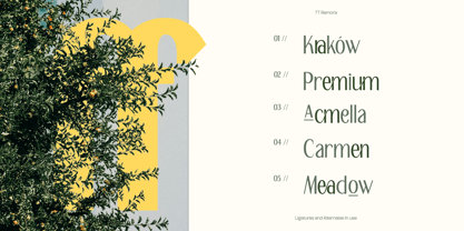 TRT Merauke Font Poster 2