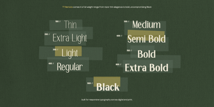 TRT Merauke Font Poster 3