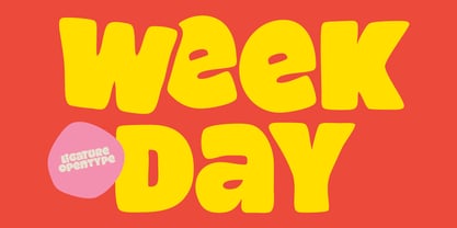 Stellost Font Poster 2