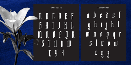 Hagevra Font Poster 8
