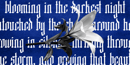 Hagevra Font Poster 4