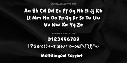 Delfico Font Poster 5