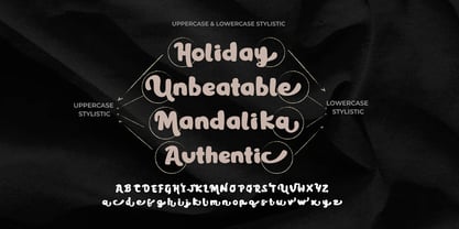 Delfico Font Poster 6