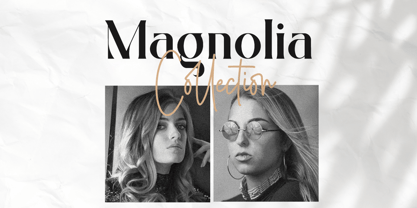 Badger Glance Font Poster 3