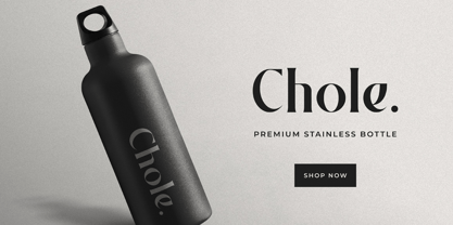 Badger Glance Font Poster 9