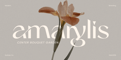 Aglorin Font Poster 5