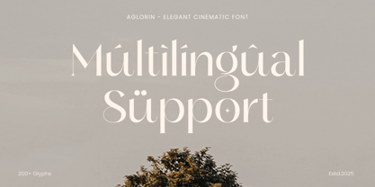 Aglorin Font Poster 12