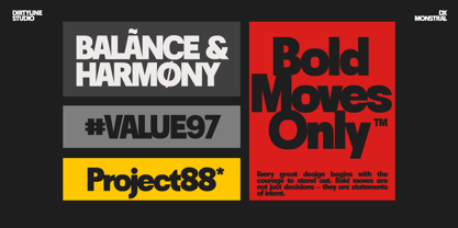 Dx Monstral Font Poster 11