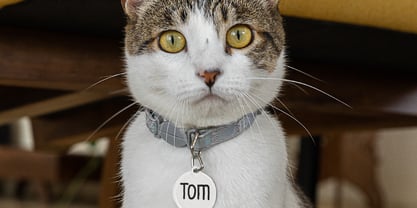 Asmiranda Handwritting Font Poster 6