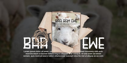 Asmiranda Handwritting Font Poster 7