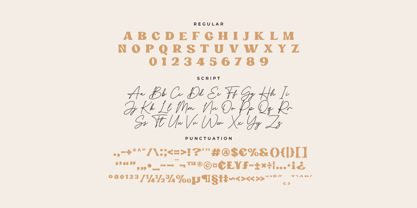 Paris Signature Font Poster 10
