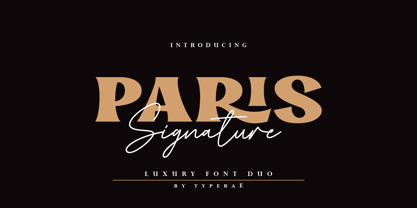 Paris Signature Font Poster 1