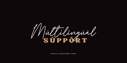 Paris Signature Font Poster 11