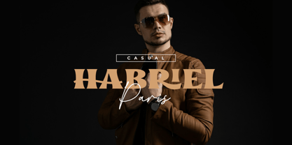 Paris Signature Font Poster 3