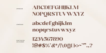 DKS Almine Font Poster 7