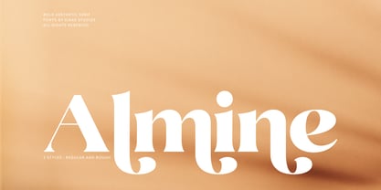 DKS Almine Font Poster 1