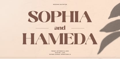 DKS Almine Font Poster 6