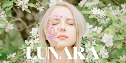 DKS Almine Font Poster 5