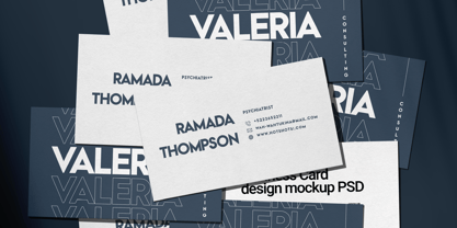 Vivexa Font Poster 2