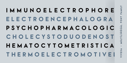 Vivexa Font Poster 6