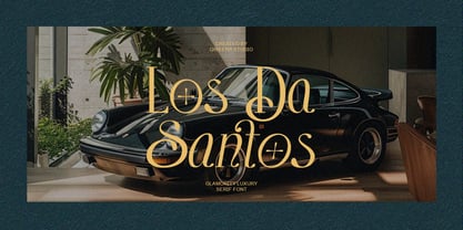 Domica Sauvage Font Poster 8