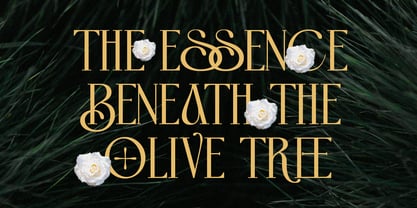 Domica Sauvage Font Poster 7
