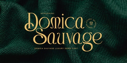 Domica Sauvage Font Poster 1
