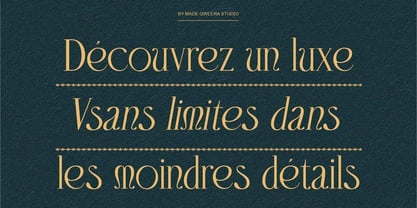Domica Sauvage Font Poster 2
