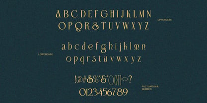 Domica Sauvage Font Poster 10
