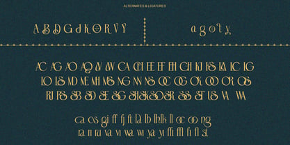 Domica Sauvage Font Poster 11