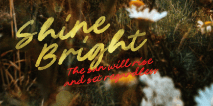 Bon Appairs Font Poster 5