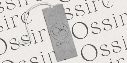 Belarose Font Poster 6