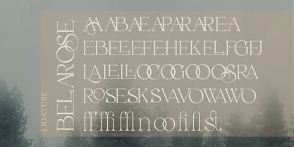 Belarose Font Poster 8