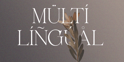 Belarose Font Poster 12