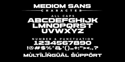 Mediom Sans Font Poster 11
