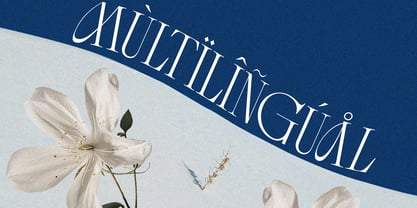 Betro Vogue Font Poster 11