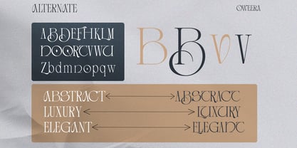 Betro Vogue Font Poster 9