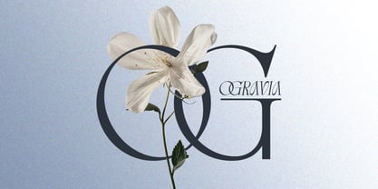 Betro Vogue Font Poster 5