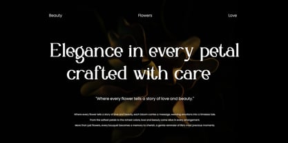 Evonella Font Poster 5