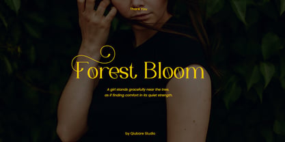Evonella Font Poster 6