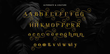 Evonella Font Poster 4