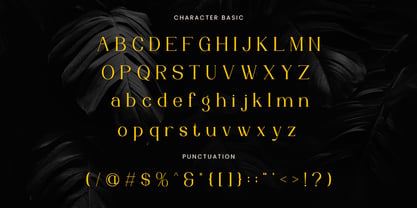 Evonella Font Poster 3