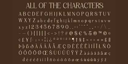 Plowell Font Poster 6