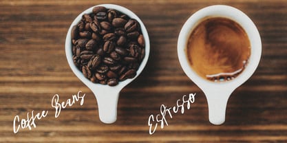 Reforia Signature Font Poster 7