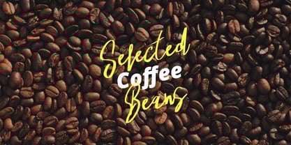 Reforia Signature Font Poster 5